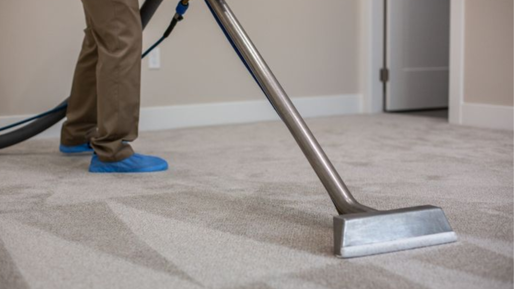6 Critical Carpet Cleaning Tips