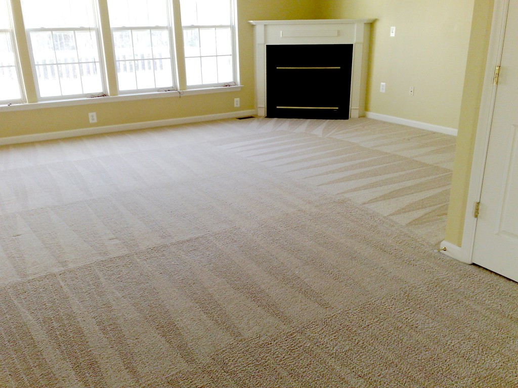Select The Best Carpet Cleaning Services