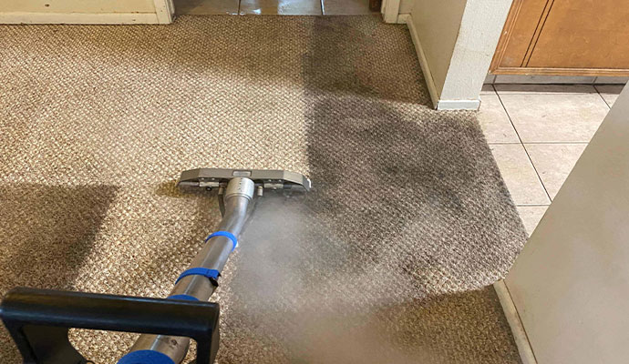 5 Carpet Cleaning Hacks From Pros That Nobody Will Tell You